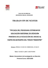 TFM Evelyn Pérez-Chuecos Terrones.pdf.jpg