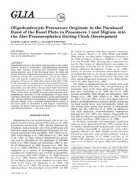 Oligodendrocyte precursors originate in the parabasal band of the basal plate in prosomere 1 and migrate into the alar prosencephalon during chick development.pdf.jpg