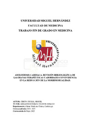 CERÓN CHULIÁ, MIGUEL, TFG.pdf.jpg