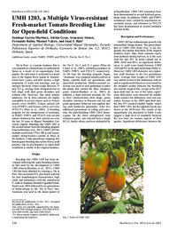 HortScience-UMH1203, a multiple virus-resistant fresh-market tomato breeding line for open-field conditions.pdf.jpg