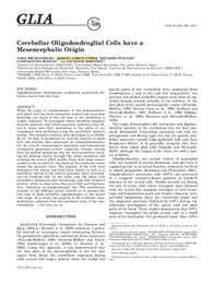 Cerebellar Oligodendroglial Cells have a.pdf.jpg