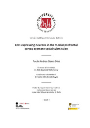 T. D. Sierra Diaz, Paula Andrea.pdf.jpg