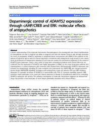 Dopaminergic control of ADAMTS2 expression.pdf.jpg