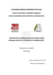 TFG Gisela Domenech Corbí.pdf.jpg