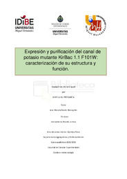 PATIÑOGARCIAANGELA.pdf.jpg