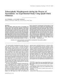 Telencephalic Morphogenesis during the Process of Neurulation.pdf.jpg