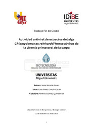 TFG Irene Vicedo Saura.pdf.jpg