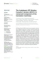 Navarro Quiles et al 2022 fpls-13-1009895.pdf.jpg