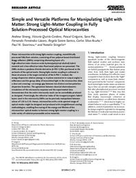 2024 adv mater 2212056.pdf.jpg