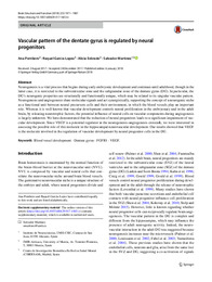 Vascular pattern of the dentate gyrus is regulated by neural.pdf.jpg
