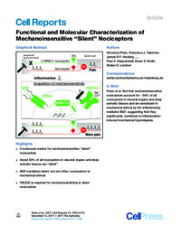Functional and Molecular Characterization of Mechanoinsensitive silent nociceptors.pdf.jpg
