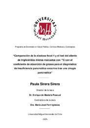 T. D. Sirera Sirera, Paula.pdf.jpg