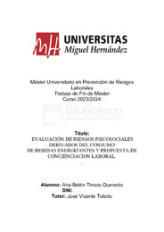 TINOCO QUEVEDO_ANA BELEN _TFM.pdf.jpg