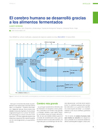 El cerebro humano se desarrolló gracias.pdf.jpg