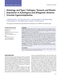 Histology and Type I Collagen, Tenascin and Elastin Expression in Autologous and Allogeneic Anterior Cruciate Ligamentoplasties.pdf.jpg