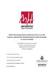 TFG - Sancho Torres, Eva.pdf.jpg