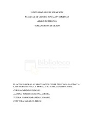 TFG Aurora.pdf.pdf.jpg