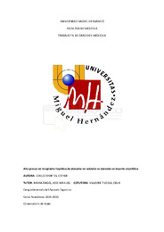 Cerezo Mortes, Esther. TFG.pdf.jpg