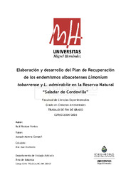 TFG_RRV_vfinal_definitivo.pdf.jpg