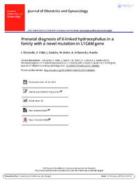 Prenatal diagnosis of X-linked hydrocephalus in a family with a novel mutation.pdf.jpg