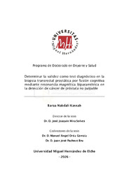 TESIS SF - Bara Nakdali.pdf.jpg