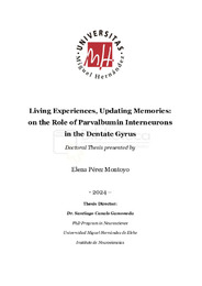 T.D. Perez Montoyo, Elena.pdf.jpg