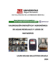 TFM Ballesteros Orjuela, Laura M.pdf.jpg