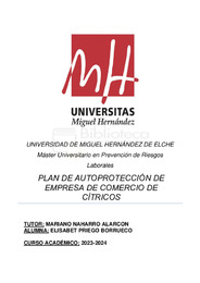 PRIEGO BORRUECO_ELISABET _TFM.pdf.jpg