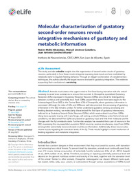 Molecular characterization of gustatory second-order neurons reveals integrative mechanisms of gustatory and metabolic information.pdf.jpg