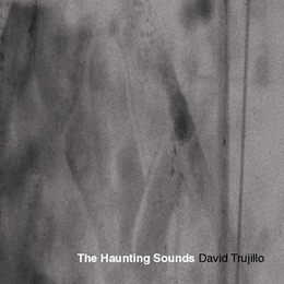 The haunting sounds_2014.pdf.jpg