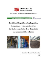 TFM Díaz González, Christiam M.pdf.jpg