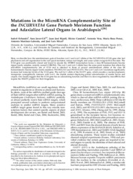 Mutations in the MicroRNA Complementarity Site of the INCURVATA4 Gene Perturb Meristem Function and Adaxialize Lateral Organs in Arabidopsis.PDF.jpg