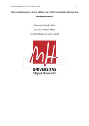 TORRALBA CAÑÓN, CARLOS ANDRÉS_TFM_24-25.pdf.jpg