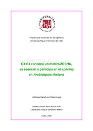 TESIS SF Aceituno Valenzuela Uri.pdf.jpg