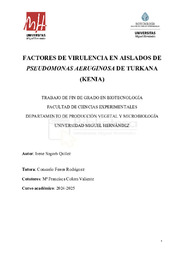 SogorbQuilez_Irene TFG.pdf.jpg