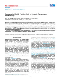 Postsynaptic SNARE Proteins. Role in Synaptic Transmission and Plasticity.pdf.jpg