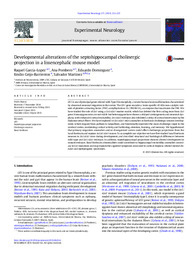 Developmental alterations of the septohippocampal cholinergic projection in a lissencephalic mouse model.pdf.jpg