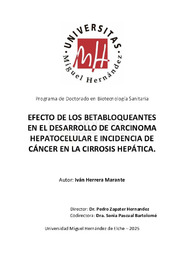 HerreraMarante_Ivan_TESIS SF.pdf.jpg