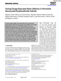 Tuning Charge-Separated State Lifetimes in Perovskite.pdf.jpg
