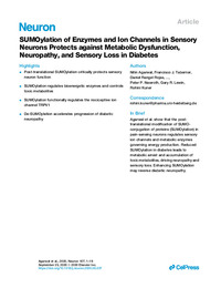 SUMOylation of Enzymes and Ion Channels in Sensory Neurons Protects against metabolic Dysfunction, Neuropathy, and Sensory Loss in Diabetes.pdf.jpg