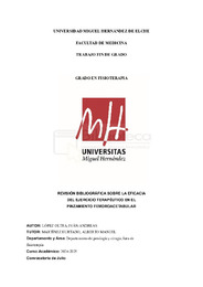Tfg López Oltra,Iván-Andreas-3.pdf.jpg