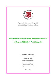 Tesis SF - Alejandro Ruiz Bayon.pdf.jpg