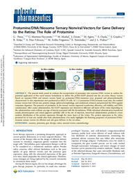 Protamine-dna-niosome ternary nonviral vectors.pdf.jpg