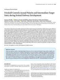 Frizzled3 Controls Axonal Polarity and Intermediate Target Entry during Striatal Pathway Development.pdf.jpg