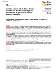Surgical treatment of elbow flexion contracture due to brachial plexus birth injury. A systematic review and meta-analysis.pdf.jpg