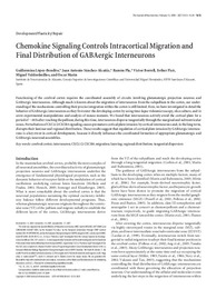 Chemokine Signaling Controls Intracortical Migration and final distribution of GABAergic interneurons.pdf.jpg