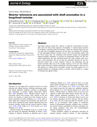 Journal of Zoology - 2024 - Mira‐Jover - Shorter telomeres are associated with shell anomalies in a long‐lived tortoise.pdf.jpg
