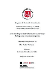 TESIS SF Anibal Martinez_Maria del Mar_compressed.pdf.jpg