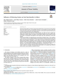 Influence of blistering lesions on foot functionality in hikers.pdf.jpg