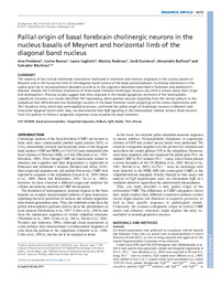 Pallial origin of basal forebrain cholinergic neurons in the nucleus basalis of Meynert and horizontal limb of the diagonal band nucleus.pdf.jpg